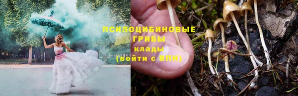 mdpv Гусев