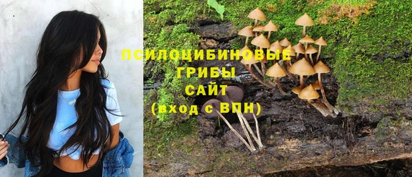 синтетический гашиш Гусь-Хрустальный